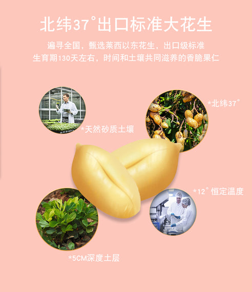 HUANG FEI HONG Spicy Peanuts HFH黃飛紅 麻辣花生 70G
