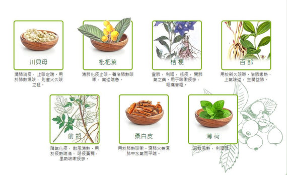Poon Gor Soe Pei Pa Lo Natural Loquat Extract 潘高壽川貝枇杷露(大)
